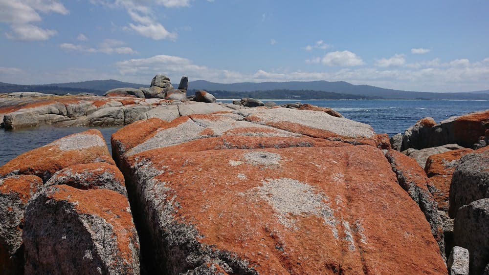 Orange lichen on rocks at the Bay Of Fires