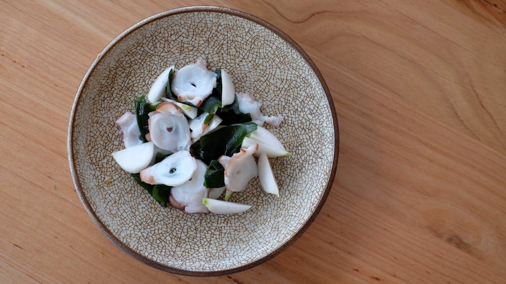 Octopus
