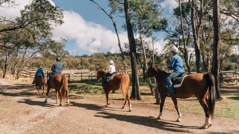 Horse riding