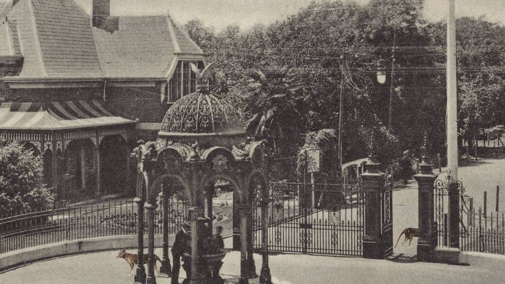 Historic image of City Park, Launceston with hidden thylacine images