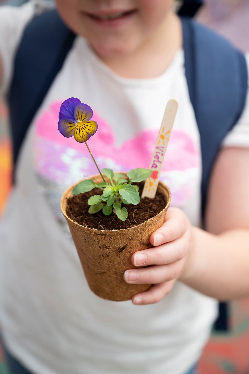 Potted plant at Little Food Festival