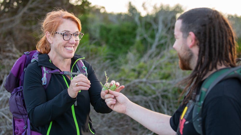 wukalina Walk is a palawa owned and guided walking and cultural experience in NE lutruwita/Tas
