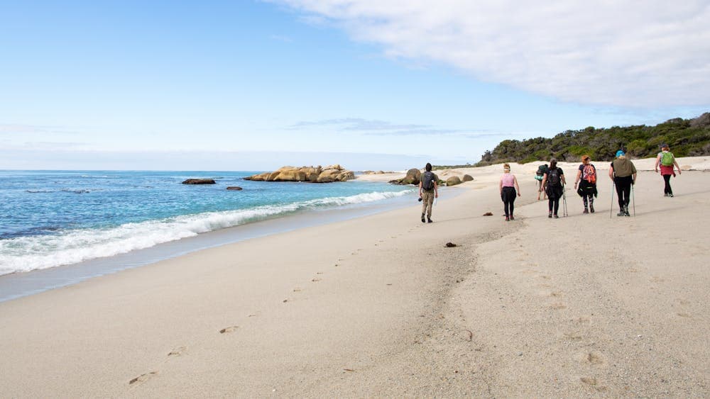 wukalina Walk is a palawa owned and guided walking and cultural experience in NE lutruwita/Tas
