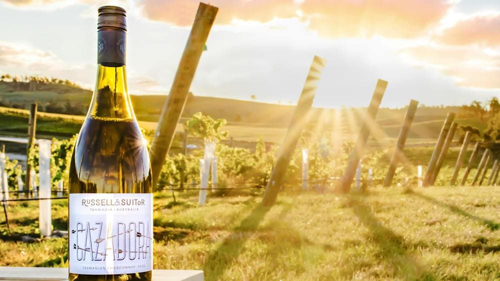 Cazadora wine bottle in the vineyard