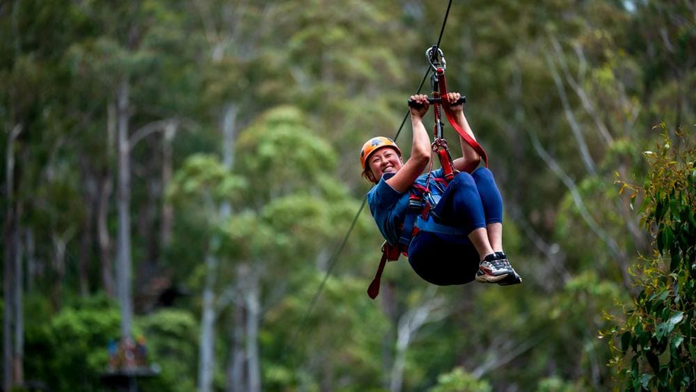 Treetops Hollybank Zipline Tour Family Adventure