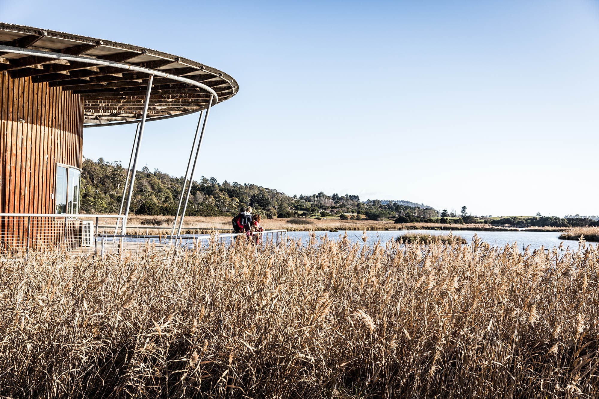 tamar island wetlands