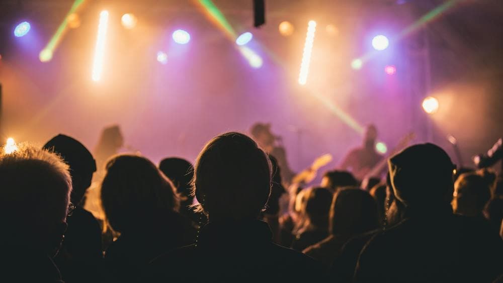 Junction Arts Festival, Junction Arts, Launceston, Bands, Live Venue, Performances, Band, Music