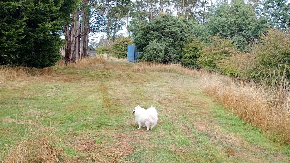 Budget Camping - On The Hill in Patersonia
