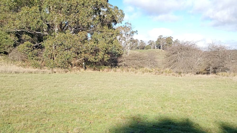Budget Camping - On The Hill in Patersonia