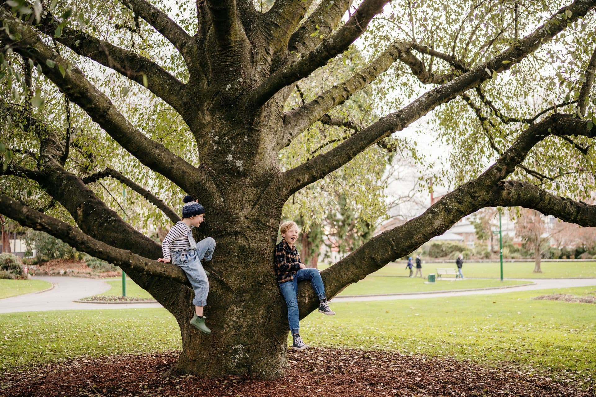 city park launceston
