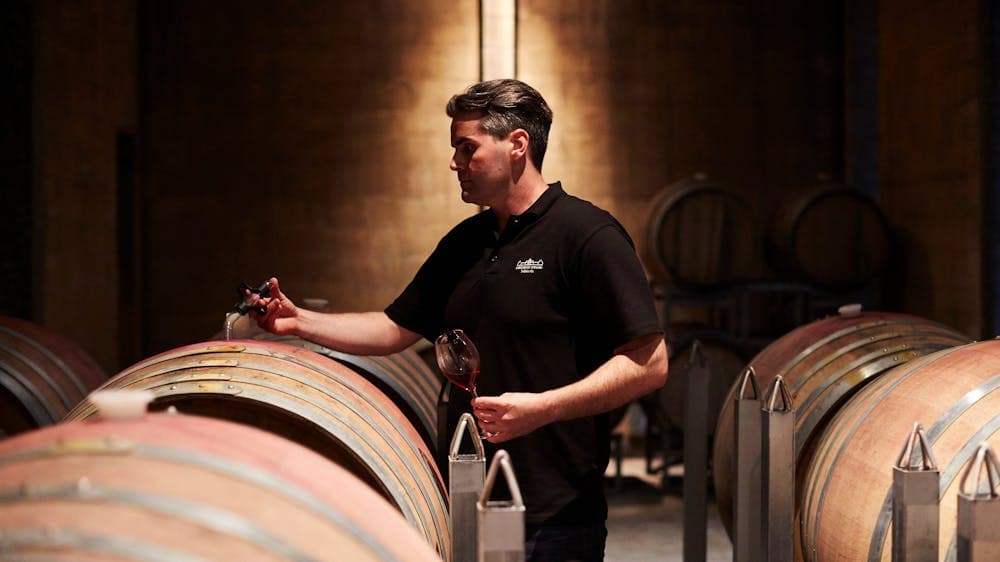 Winmaker and barrel in cellar