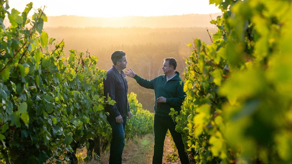 A winemaker and viticulturist stand among grape vines passionately engaged in discussion