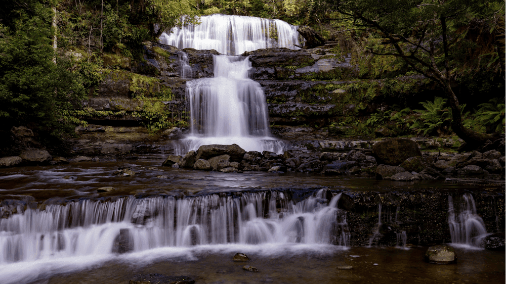 Spectacular Liffey Falls, flowing over 5 rock tiers is a sight to behold.