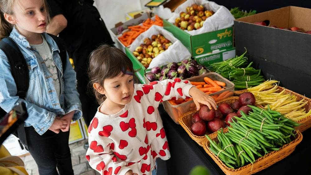 little food festival