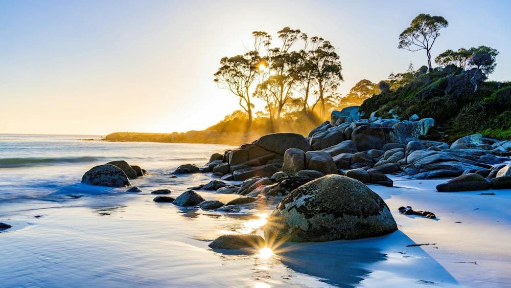 Glowing Sunstars reflect in water pools on the beach at Binalong Bay, Tasmania