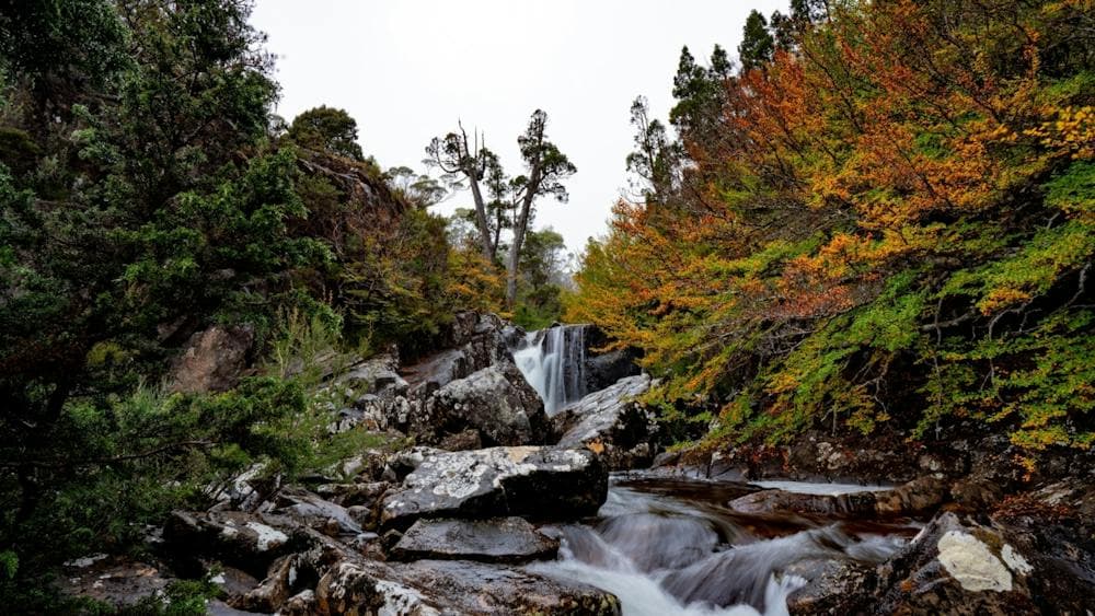 Beautiful Autumn Colours and flowing waterfalls in Tasmanias Central Highlands