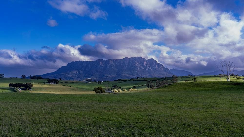 Rolling green hills leading up to the majestic Mount Roland in Sheffield, Tasmania