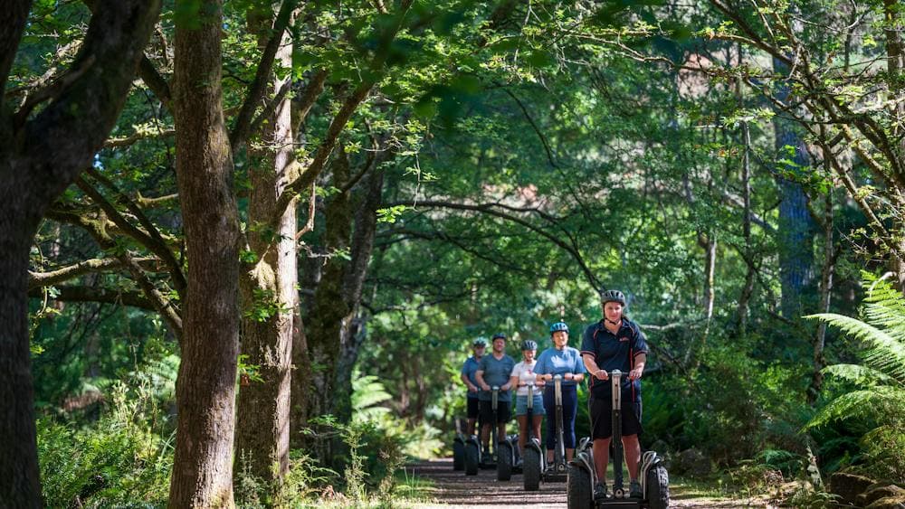 Treetops Hollybank Segway Tour