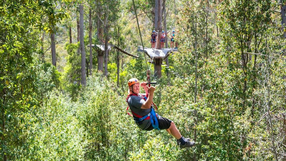 Treetops Hollybank Zipline Tour Family Adventure