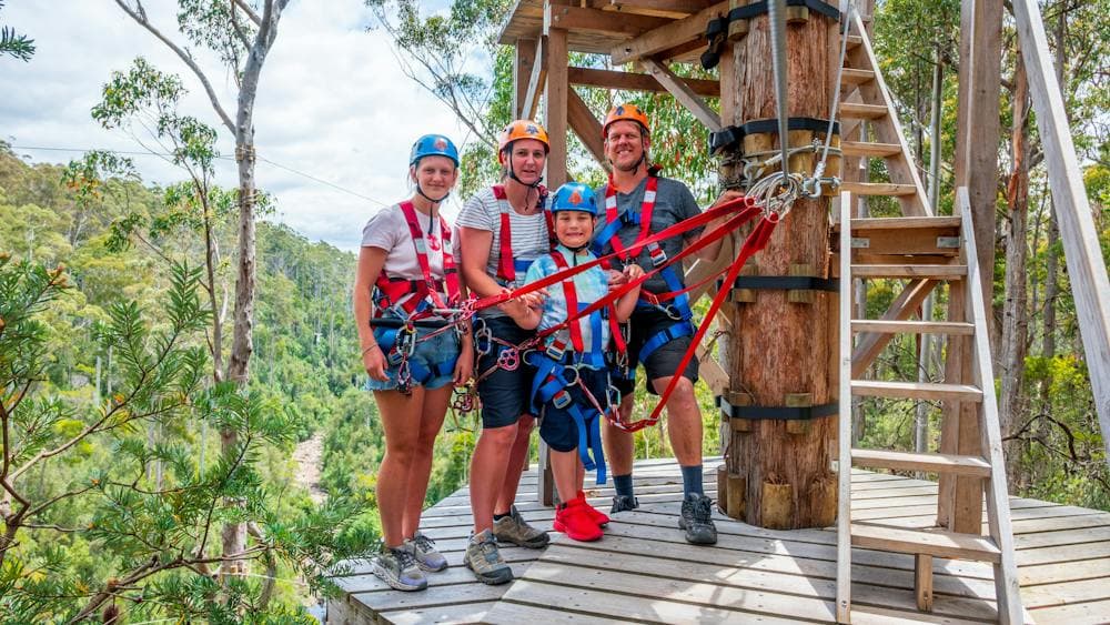 Treetops Hollybank Zipline Tour Family Adventure