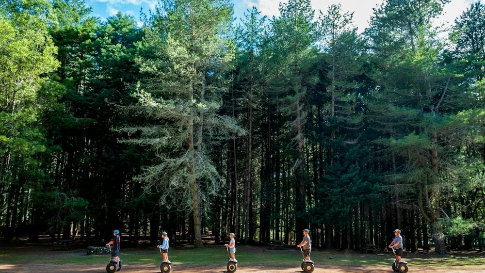 Treetops Hollybank Segway Tour