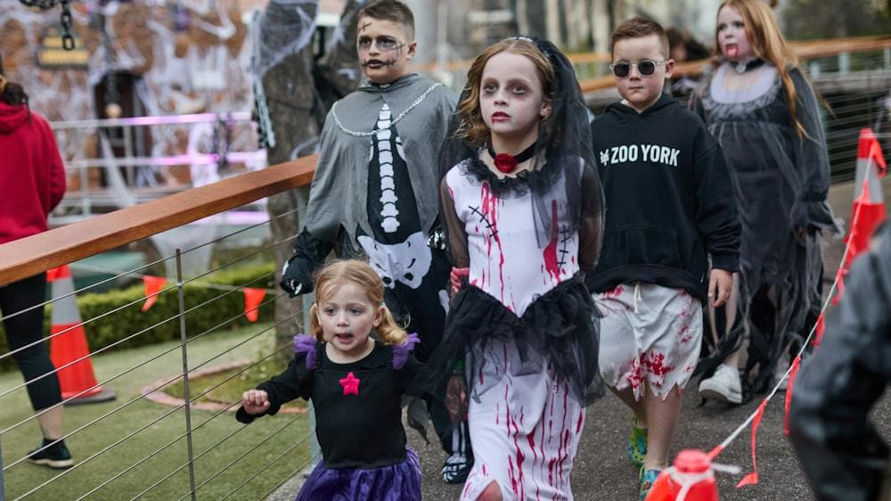 halloween trick or treaters