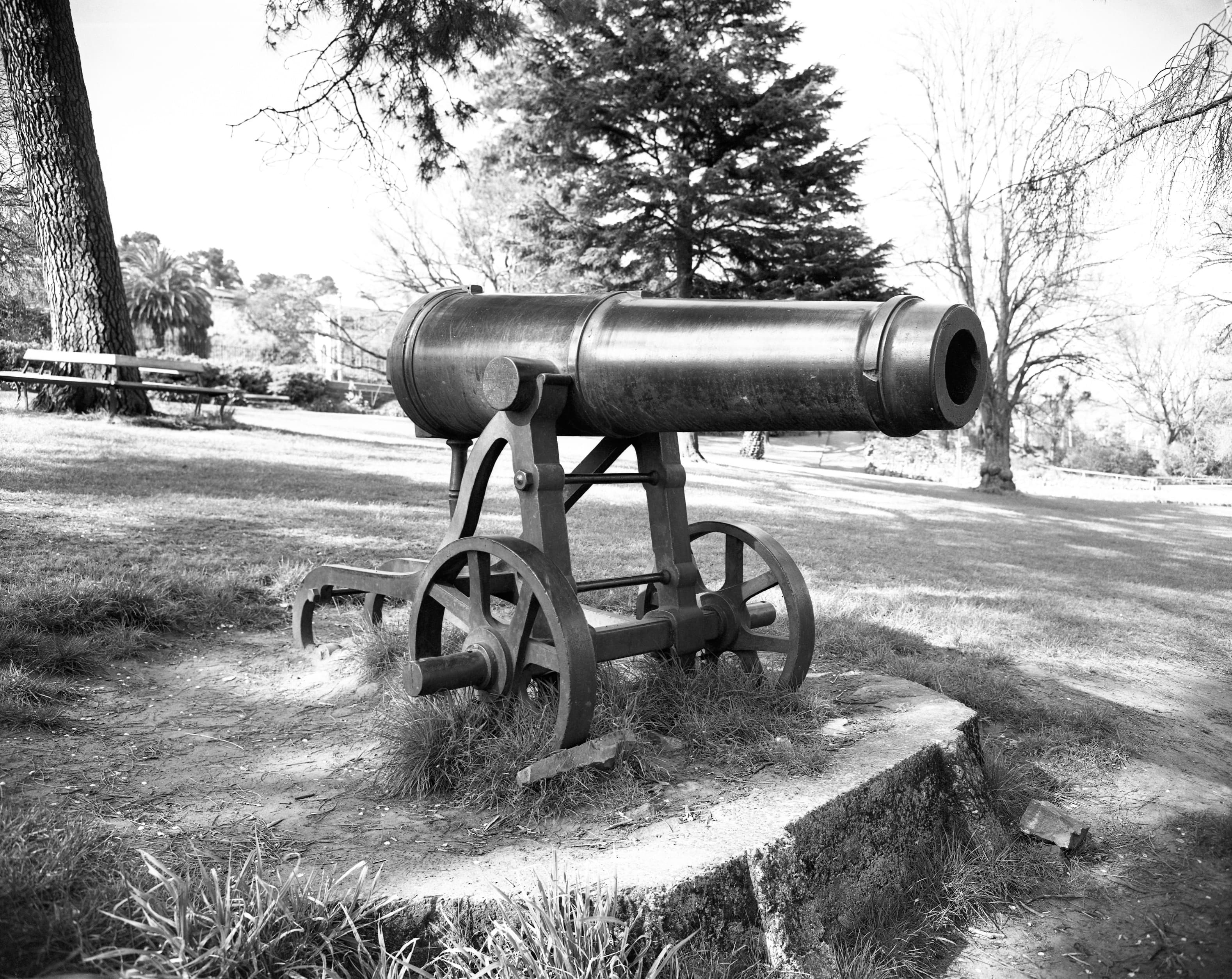 historical sebastopol cannon photo