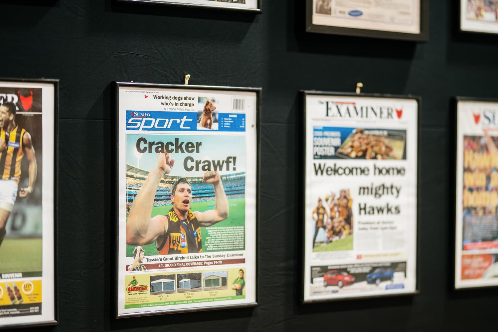 Hawks display