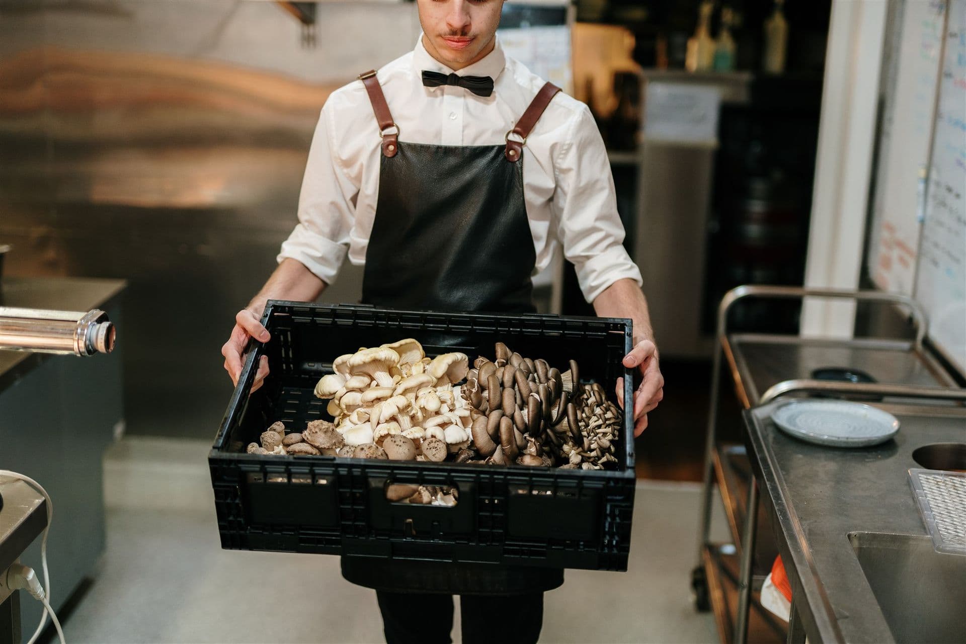 brown towns mushrooms