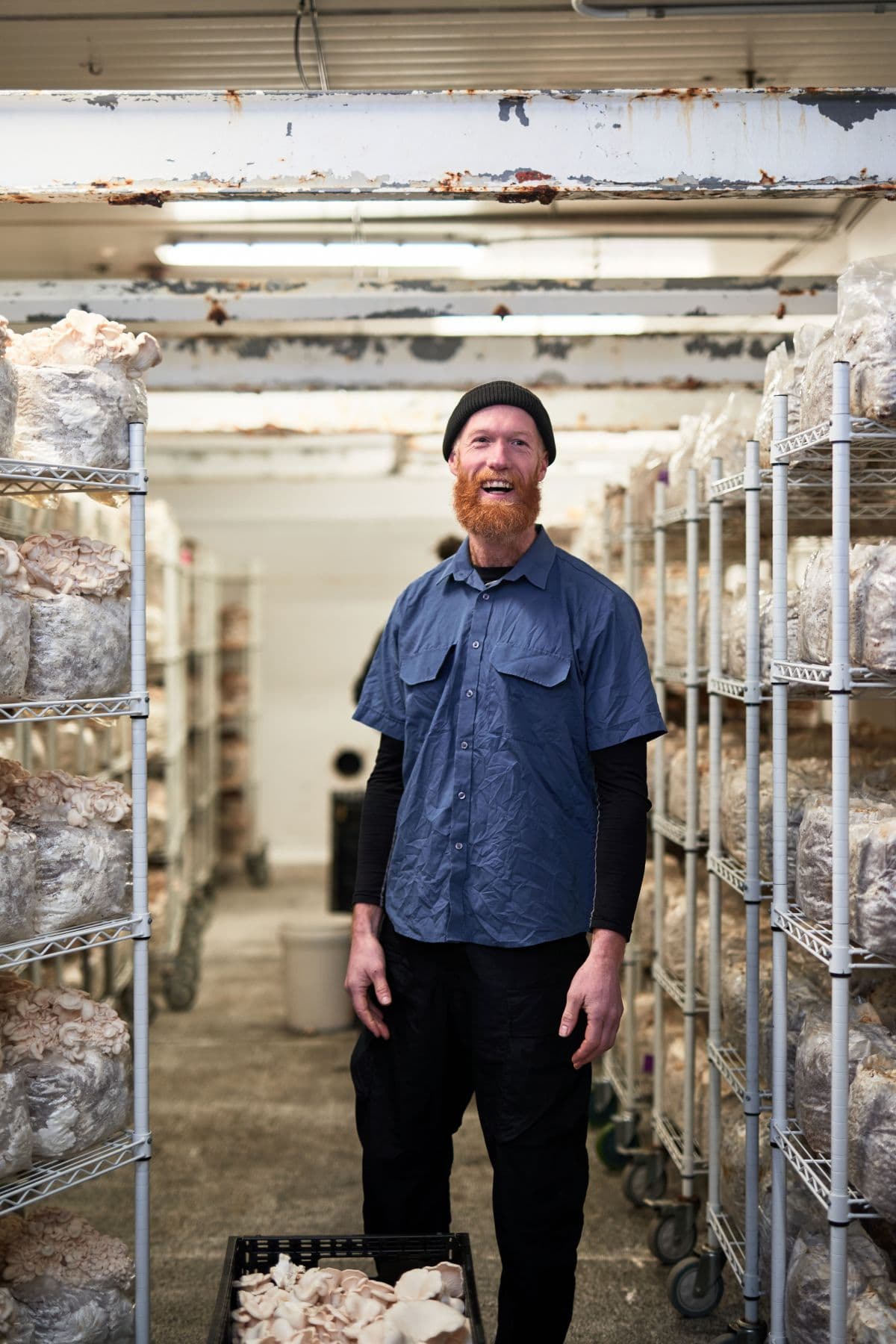 brown mushroom storehouse